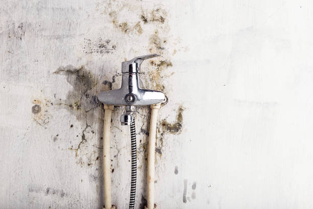 Reliable Lake Caroline, VA Mold Remediation Solutions