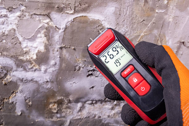 Professional Mold Remediation in Lake Caroline, VA