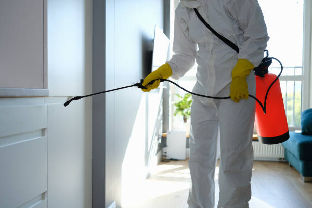 Best Health and Safety Mold Remediation in Lake Caroline, VA