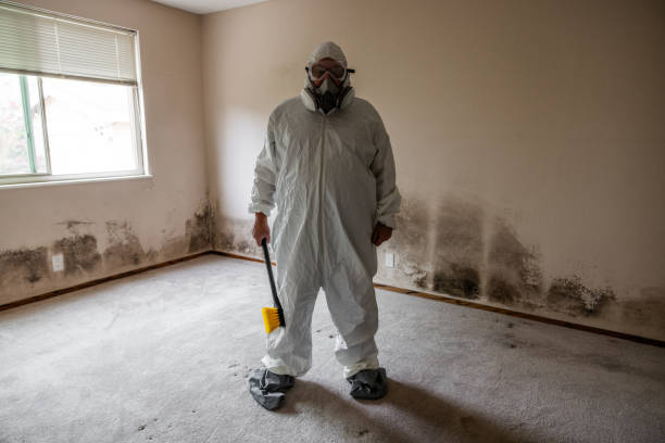 Best Health and Safety Mold Remediation in Lake Caroline, VA
